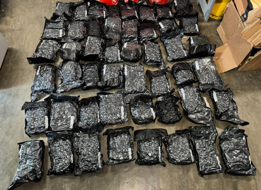 DNCD CONFISCA EN EL AILA 57 PAQUETES DE MARIHUANA